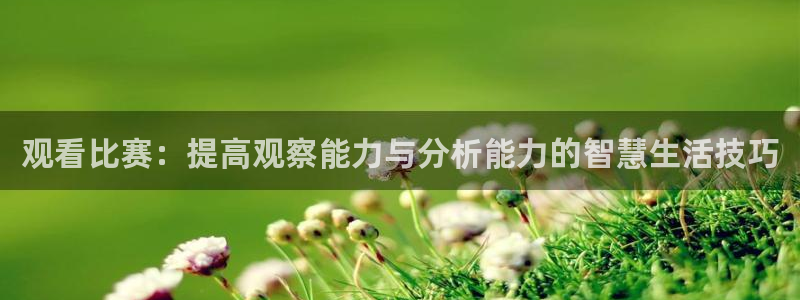 oety欧亿