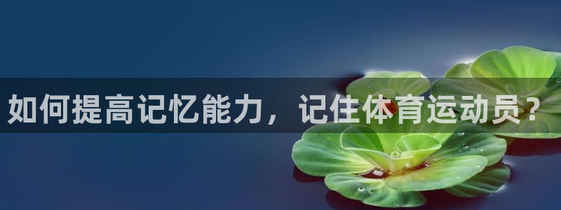 oety欧亿