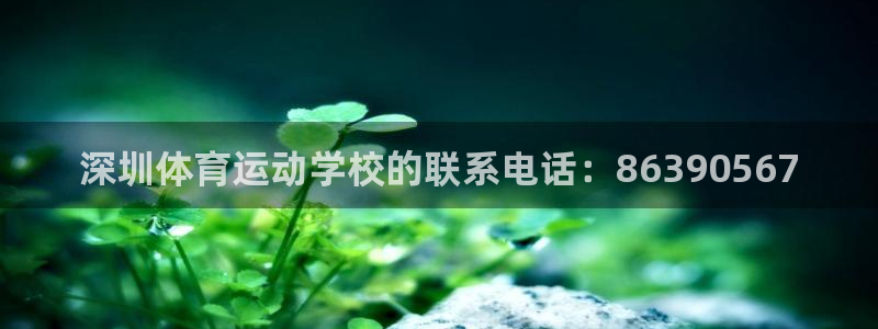 oety欧亿