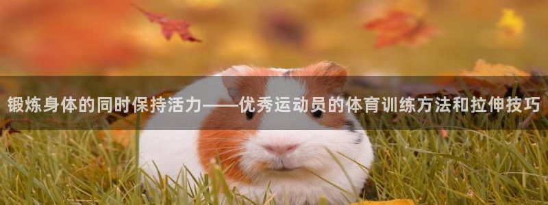oety欧亿