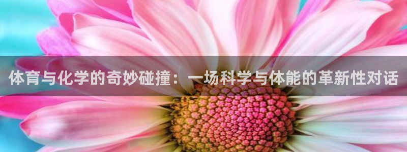 oety欧亿