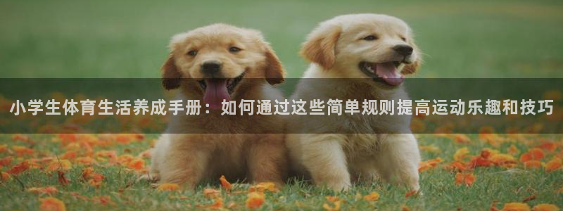oety欧亿