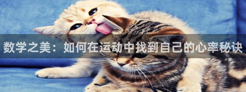 oety欧亿