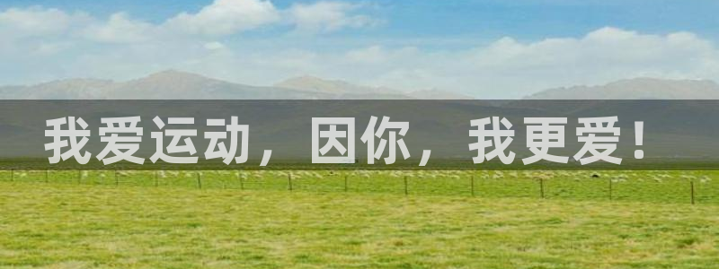 oety欧亿
